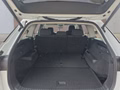 Daumennagel 16 - Skoda Kodiaq 2,0TDI DSG 4x4 aAHK/7-Sitzer/Matrix/Navi/el.Klappe **