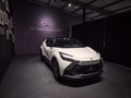 Daumennagel 3 - Toyota C-HR Plug-In Hybrid FWD Team Deutschland/1 HAND