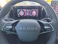 Daumennagel 24 - Skoda Kodiaq 2,0TSI DSG 4x4 aAHK/7-Sitzer/Matrix/Navi/el.Klappe   **