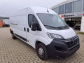 Daumennagel 2 - Opel Movano Kasten HKa L3H2 Hochdach lang 3,5t RFK