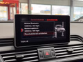 Daumennagel 29 - Audi SQ5 3.0 TDI quattro STHZ|AHK|360 |HUD|ACC|CARBON|