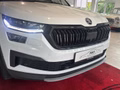 Daumennagel 9 - Skoda Kodiaq Tour  AHK/CAR-PLAY