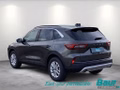 Daumennagel 4 - Ford Kuga 2.5 Duratec PHEV TITANIUM Winter-Paket LED