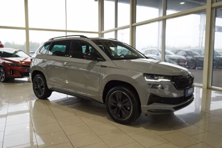 Skoda Karoq age.one-day registration Kaufen
