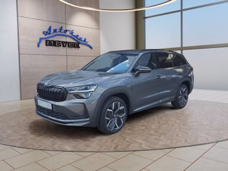 Skoda Kodiaq age.one-day registration Kaufen