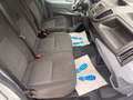 Daumennagel 14 - Ford Transit Kasten 350 L3H2 Trend