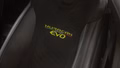 Daumennagel 17 - Lamborghini Huracan EVO CAPSULE KAM LIFT SENSONUM SERVICE NEW