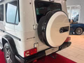 Daumennagel 3 - Mercedes-Benz G 63 AMG PANO/AHK/H&K