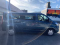Daumennagel 6 - Ford Transit Custom Kombi 320 L2 Trend