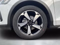 Daumennagel 9 - Ford Focus Active