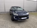 Daumennagel 2 - Ford Kuga Plug-In Hybrid Cool & Connect