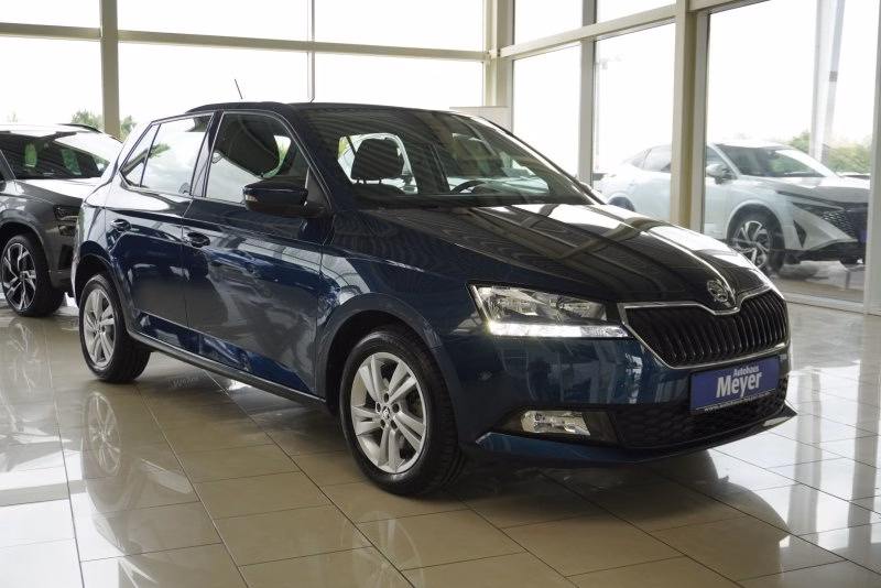 Skoda Fabia 1,0TSI 110PS Kamera/Alu/Pdc/WR