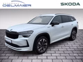 Daumennagel 1 - Skoda Kodiaq 2.0 TDI 142 kW 4x4 Sportline