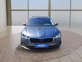 Daumennagel 8 - Skoda Octavia Combi 1.5 TSI ACT Style AHK/LED/ACC