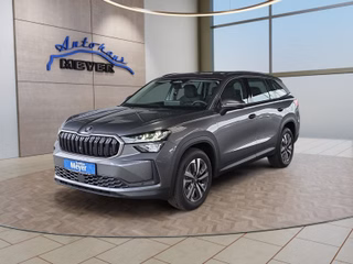 Skoda Kodiaq age.one-day registration Kaufen
