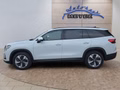 Daumennagel 2 - Skoda Kodiaq 1,5TSI DSG aAHK/7-Sitzer/Navi/ACC/el.Klappe  **