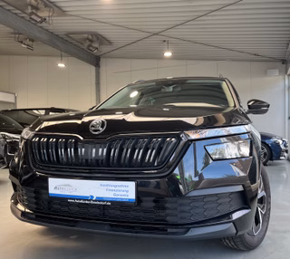 Skoda Kamiq Gebrauchtwagen Kaufen