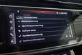 Daumennagel 33 - Audi Q8 55 TFSI quattro S-Line