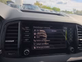 Daumennagel 42 - Skoda Karoq 1,5TSI DSG aAHK/ACC/Kamera/Winterp.