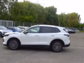 Daumennagel 12 - Volkswagen Tiguan 2.0 TDI DSG 110 kW Energy Autom. Kamera. Navi. Klimaaut. AHK. Alu. SHZ. PDC.
