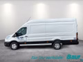 Daumennagel 3 - Ford Transit 350 L4H3 Lkw HA Trend Trennwand Metall