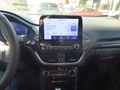 Daumennagel 17 - Ford Puma ST-Line