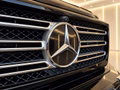 Daumennagel 43 - Mercedes-Benz G 500 Final Edition Black  V8 RFK NAVI