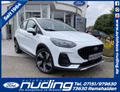Daumennagel 1 - Ford Fiesta 1.0 EcoBoost Active Navi/RFK/LED/SZH