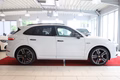 Daumennagel 10 - Porsche Cayenne E-Hybrid Platinum Edition
