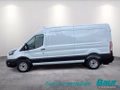 Daumennagel 3 - Ford Transit 350 L3H2 Lkw VA Basis AHK Seitenwandver