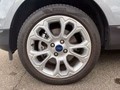 Daumennagel 10 - Ford EcoSport 1.0 EcoBoost Titanium PDC/LED/SZH