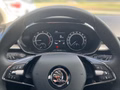 Daumennagel 8 - Skoda Fabia Style 1.0 TSI 110 PS