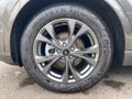 Daumennagel 11 - Ford Kuga 1.5 EcoBoost ST-Line ACC/Navi/RFK/BLIS