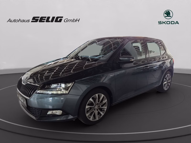 Skoda Fabia III Clever Best of 1.0 TSI 95 PS, Navigation Amundsen, PDC,SH,Klimaautomatik,