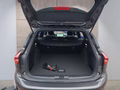 Daumennagel 19 - Ford Focus ST-Line X 1.0 155PS Aut. UPE=41700€     **