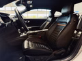Daumennagel 9 - Ford Mustang Mach 1 MagneRide StylingPaket