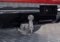 Daumennagel 10 - Audi SQ7 4.0 TFSI quattro|S-SITZE|PANO|MEMORY|AHK|ACC