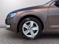 Daumennagel 13 - Skoda Octavia Combi 1.6 TDI Ambition *2.HAND*AHK*KLIMA