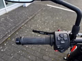 Daumennagel 14 - Triumph Trident 660 Shift Assist+Fly Screen 2. Hand