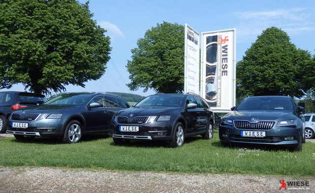 Wiese Automobile