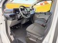 Daumennagel 14 - Ford Transit Custom 320 L2H1 LKW VA PHEV Trend Klima