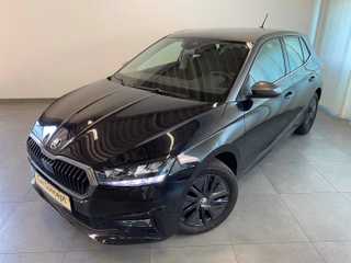 Skoda Fabia Gebrauchtwagen Kaufen