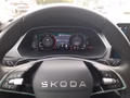 Daumennagel 18 - Skoda Octavia Combi 2,0TDI DSG Navi/ACC/Kamera/Winterp.