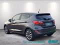 Daumennagel 4 - Ford Fiesta 1.0 EcoBoost S&S TITANIUM Winter-Paket