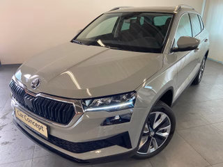 Skoda Karoq age.one-day registration Kaufen