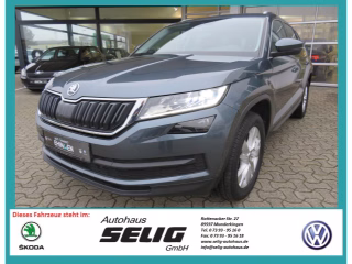 Skoda Kodiaq Gebrauchtwagen Kaufen