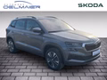Daumennagel 2 - Skoda Karoq 2.0 TDI Tour Matrix, Kessy, Panorama
