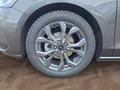 Daumennagel 17 - Ford Focus ST-Line X 1.0 155PS Aut. UPE=41700€ **