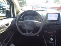 Daumennagel 9 - Ford EcoSport ST-Line