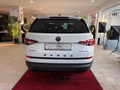Daumennagel 8 - Skoda Kodiaq Active